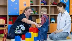 Новых воспитанников примут в группу почасового присмотра в детском саду «Аленушка»