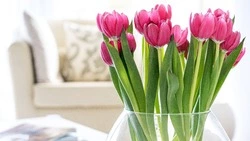 Каждый четвертый мужчина знает, насколько опасно забыть поздравить женщину с 8 Марта