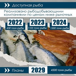 /attachments/ee1b6ea35aa51b8ef72dfc92c40a432da1e50725/store/crop/0/0/1080/1080/800/0/0/0/931a22e6b90531928ac8dc3945f88404f17464faf21904b0e8abb449c807/931a22e6b90531928ac8dc3945f88404f17464faf21904b0e8abb449c807.jpeg.jpg