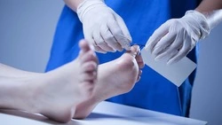 Сосед стекает с потолка и опарыши в стенах: мертвые жильцы устроили ад в трех домах Кузбасса