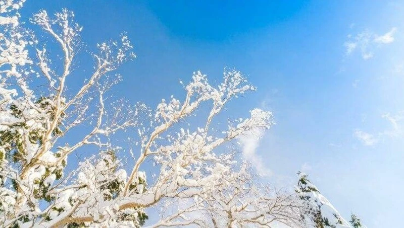 Минусовые отметки и северный ветер установятся в Южно-Сахалинске 13 марта 