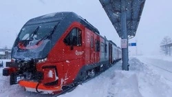 С начала 2025 года железная дорога Сахалина перевезла 288 тыс. жителей и гостей острова 