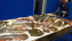 Рыбу по выгодным ценам привезли в три района Сахалина
