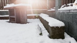 На Сахалине суд взыскал с магазина 580 тысяч рублей в пользу покупателя, заваленного снегом с крыши