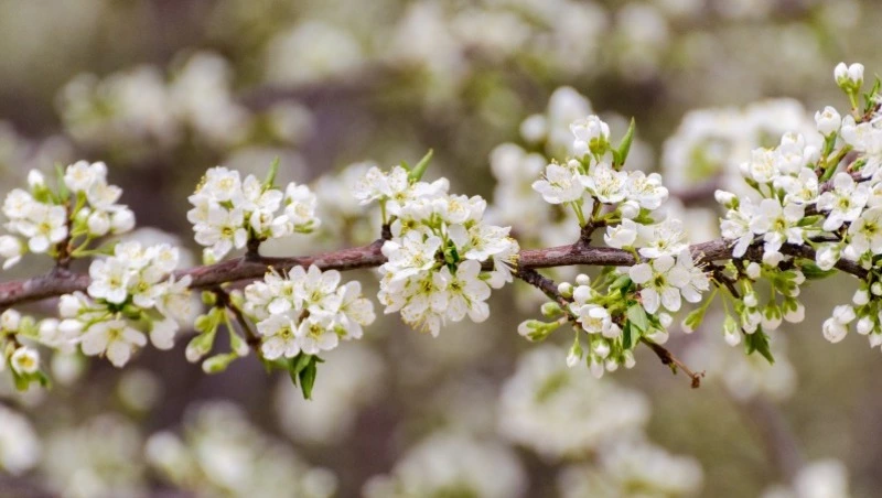 Церковный праздник 11 мая 2023: что нельзя делать в этот день, приметы