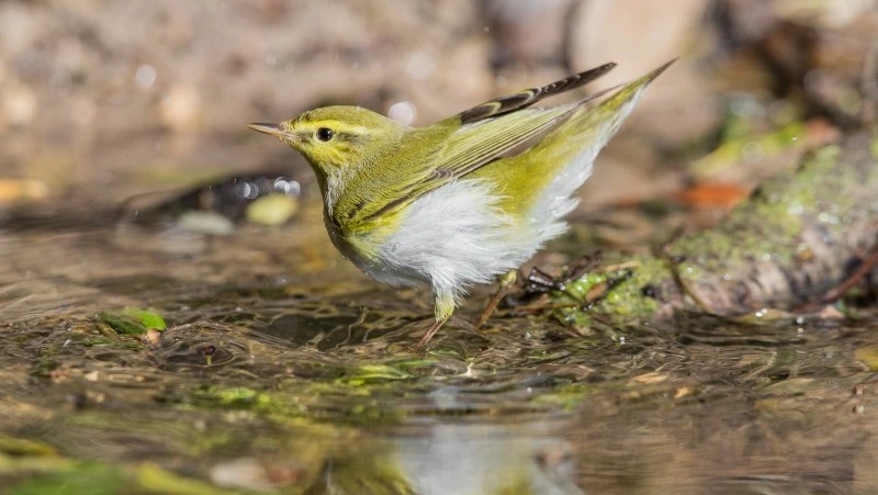 Церковный праздник 18 июня 2025: что нельзя делать в этот день, приметы