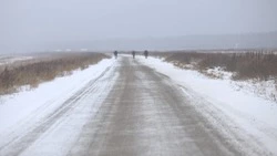 Некоторые дороги открыли для движения автотранспорта на Сахалине после циклона