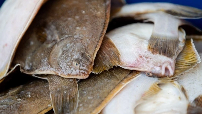 Свежую камбалу по 81 рублю за килограмм привезли в Южно-Сахалинск 7 октября