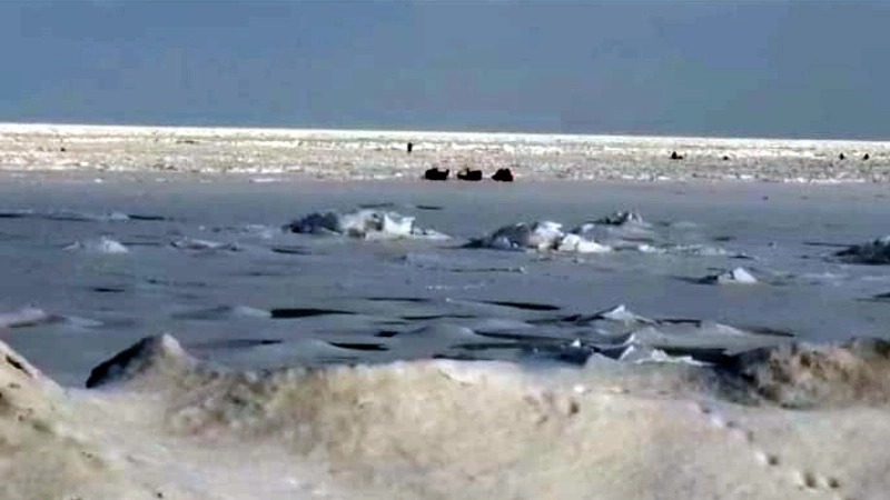 Рыбаки Сахалина дождались льда на одном из самых клевых мест