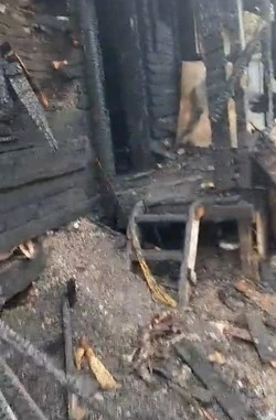 Здание приюта для бездомных собак уничтожил пожар в Корсакове