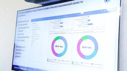 Картографы Сахалина будут использовать нейросеть для поиска неиспользуемых земель