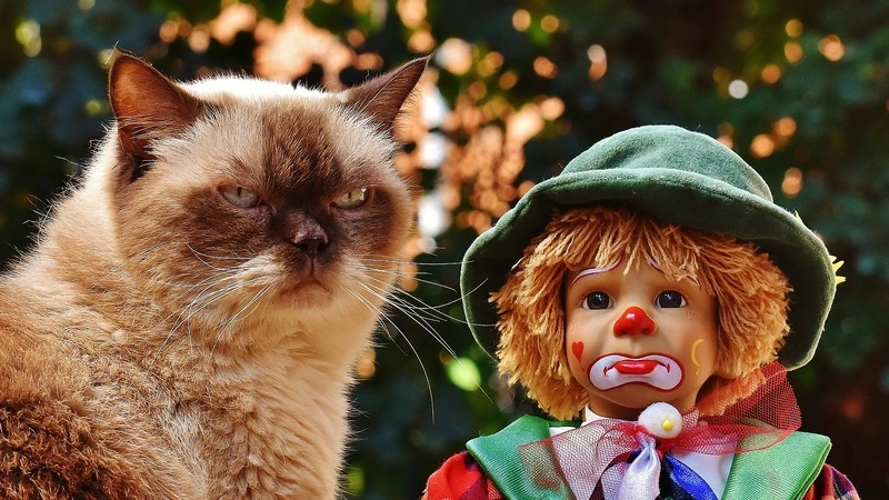 О смешном и дурацком: запрещенная Тува, дырявый ковш на голове, самосуд и драка в ЗАГС