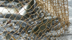 Большинство голосовало «против»