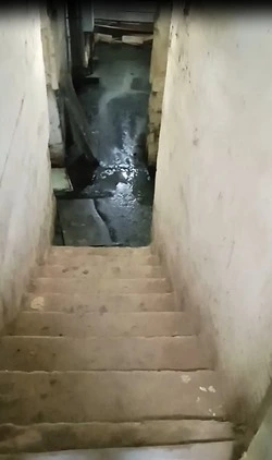Запах гнили из подвала напугал жителей села Чехов