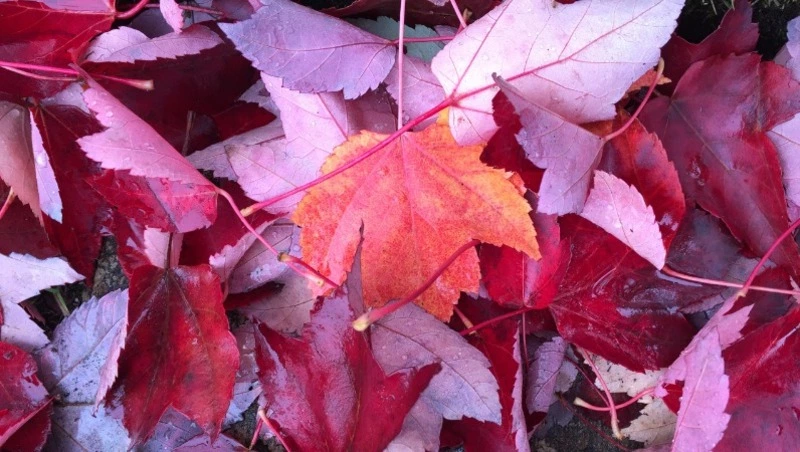 Какой сегодня праздник — 14 ноября 2023 года