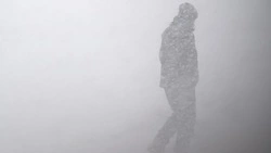 Школы в Северо-Курильске перевели в дистанционный режим из-за циклона 11 ноября