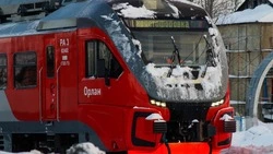 Движение пригородных поездов частично ограничили на 29 января из-за непогоды в Сахалинской области 