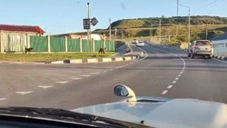 «Я в шоке»: очевидец заснял медведицу и медвежат на Итурупе