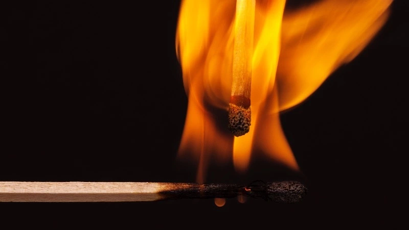 Житель Владивостока заживо сжег сожительницу и получил 17 лет колонии