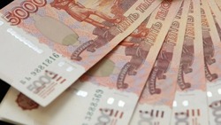 Мошенники «заработали» на агропредприятии Южно-Сахалинска 1,8 миллиона рублей