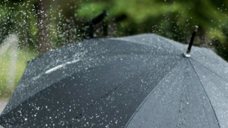 Небольшой дождь на севере и до +23 градусов ждет жителей Сахалина и Курил 1 октября