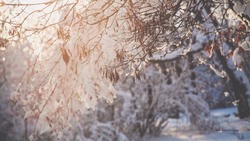 Мороз, без осадков: уточнен прогноз погоды на 26 января в Сахалинской области