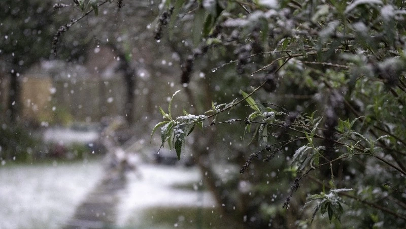 Циклон принесет мокрый снег на Сахалин в начале октября