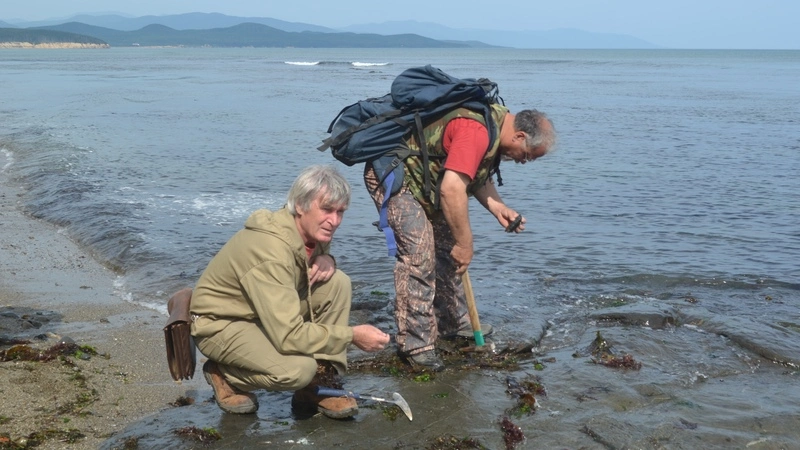 Росгеология ищет на Парамушире золото