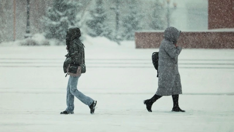 Метели и шквалистый ветер обрушатся на всю Сахалинскую область 2 декабря
