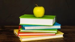 Следователи возбудили уголовное дело после избиения школьника в Южно-Сахалинске