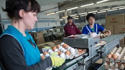 Популярный блогер сравнил цены на куриные яйца в Южно-Сахалинске