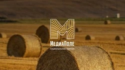 Сахалинских журналистов и блогеров пригласили к участию в премии «МедиаПоле»