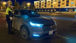 Свыше 55 человек оштрафовали за непристегнутые ремни на Сахалине и Курилах 21 мая