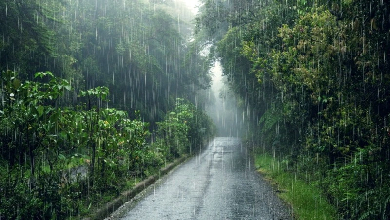 Гидрометеоцентр: мощный ливень накроет семь районов Сахалина и облцентр 22 и 23 августа