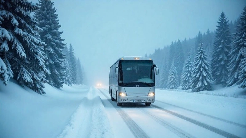 Рейсы еще одного автобуса на Сахалине отменят из-за непогоды
