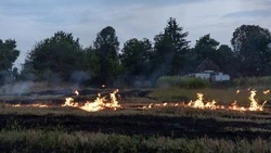 Охваченная пламенем дача в Корсаковском районе едва не стала причиной лесного пожара