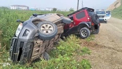 Девушка-водитель врезалась во встречную машину и перевернулась в кювет в Углегорском районе