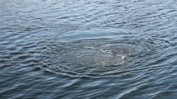 Тело 48-летнего мужчины достали из озера Питьевое на юге Сахалина