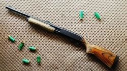 Сахалинец из мести бизнесмену дважды расстрелял окна двух квартир 