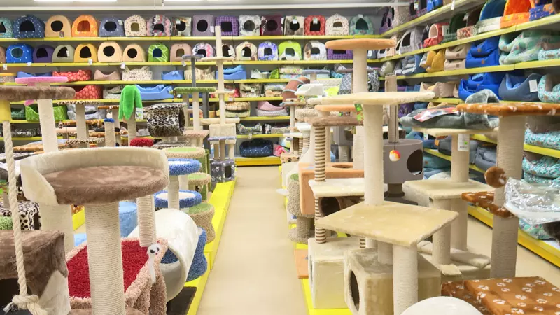 «Потратил меньше, чем мог бы»: зоозащитники рады скидкам по «Карте сахалинца»