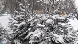 Мороз 30 градусов и снег спрогнозировали синоптики в Сахалинской области 28 января