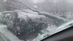 Деревья падают, провода рвутся. Циклон хозяйничает в Южно-Сахалинске