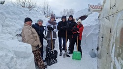 Волонтеры «ВьЮжного десанта» отработали около 300 заявок от жителей Южно-Сахалинска