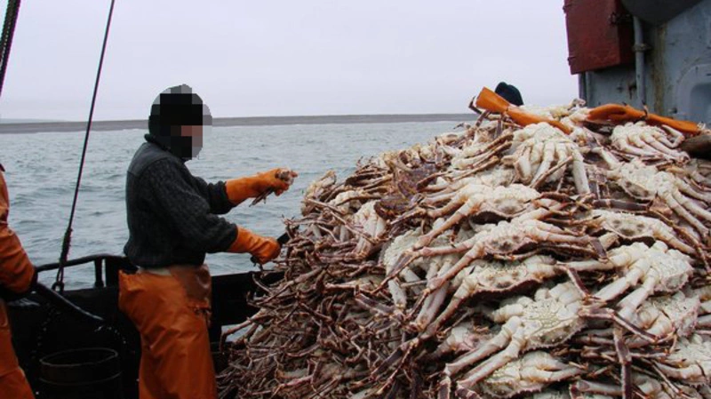 Пекарь, связанный с «крабовым королем», не явился в суд
