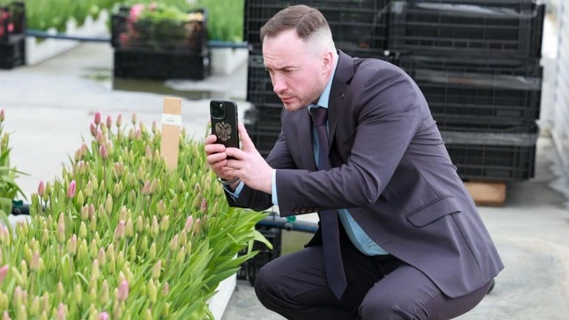 Два миллиона роз и миллион тюльпанов: на Сахалине делегация Минсельхоза РФ посетила «Тепличный»