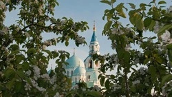 Церковный праздник 15 мая 2026: традиции, строгие запреты и приметы дня