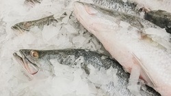 Экспорт рыбы из Приморья и с Сахалина вырос почти в два раза за неделю
