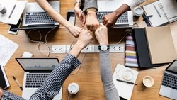 В помощь предпринимателю: Sakh.online запускает новый спецпроект