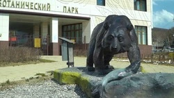 Топ лучших мест на Сахалине весной. Чем заняться в межсезонье?