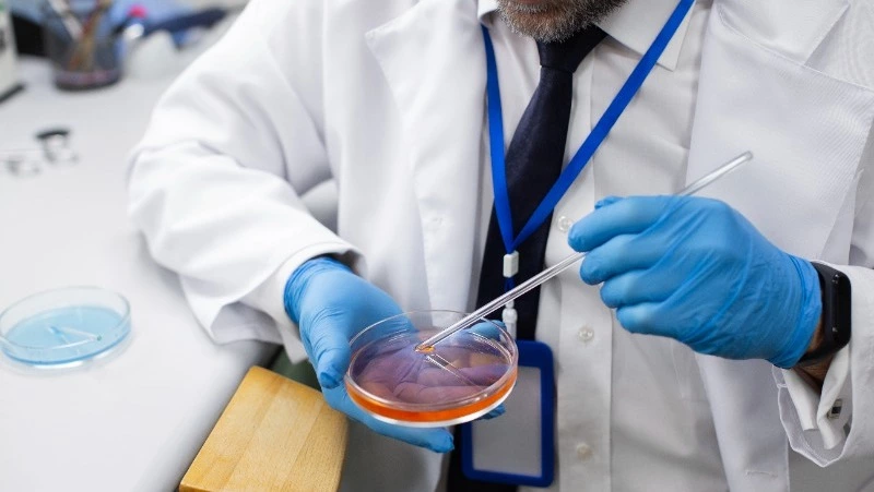 Россельхознадзор провел свыше 10 тысяч исследований икры на Сахалине и Курилах с 2025 года